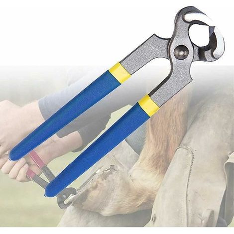 [Outils de Maréchalerie] Coupe-Sabots Pro en Acier, 8 Inch, pour Chevaux, Bovins, Ovins, Caprins et Porcs (1/4)