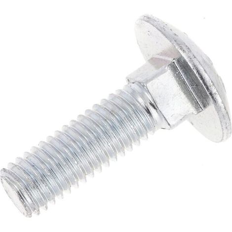 Flachrundschraube AGRIA AGW59768