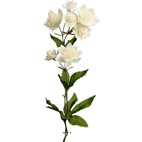 Astrance fleur factice H50cm 8 fleurs 2 ramures Rare et superbe Crème - couleur: Crème (1/3)
