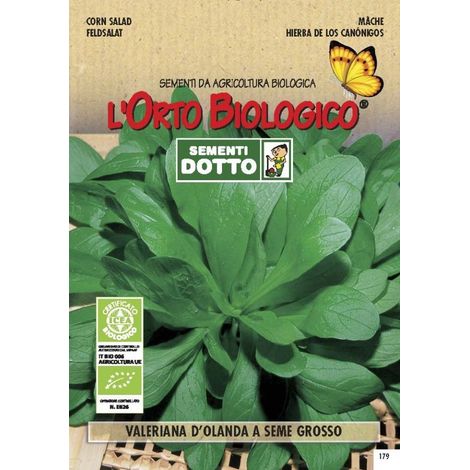 SEMENTI VALERIANA D'OLANDA SEME GROSSO
