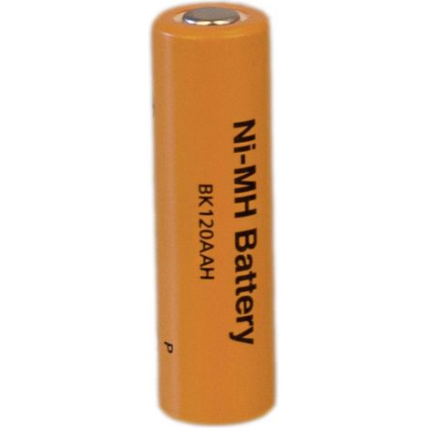 Panasonic U-Serie Solar Batteria ricaricabile speciale F adatto alle alte temperature NiMH 1.2 V 12000 mAh (1/3)