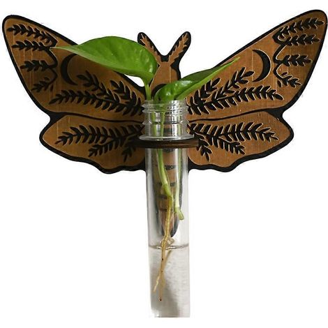 Station d'élevage murale pour papillons, supports suspendus en bois pour plantes, plantes d'intérieur avec tubes en plastique, B (1/5)