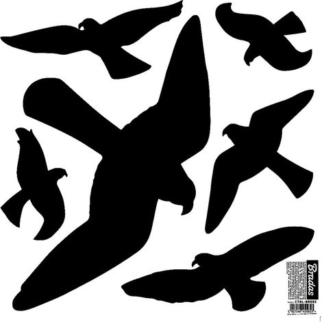 Lot de 6 autocollants anti-oiseaux Bradas pour fenêtres, grand format (6 x 10 pièces). (1/5)