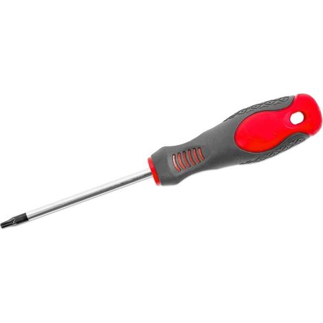 Torx Schraubenzieher TX25 - pro Stück