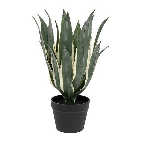 Plante artificielle Agave en Pot H 55 cm - Atmosphera (1/3)