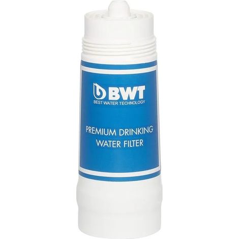 BWT Bestmax X cartouche filtrante transparente 10 9 cm (1/3)