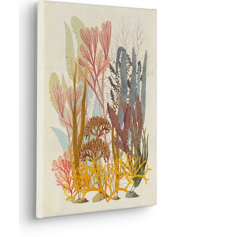 Komar Canvasbild Coral Aqua - 40 x 30 cm - Bild auf Keilrahmen - Maritim (1/2)