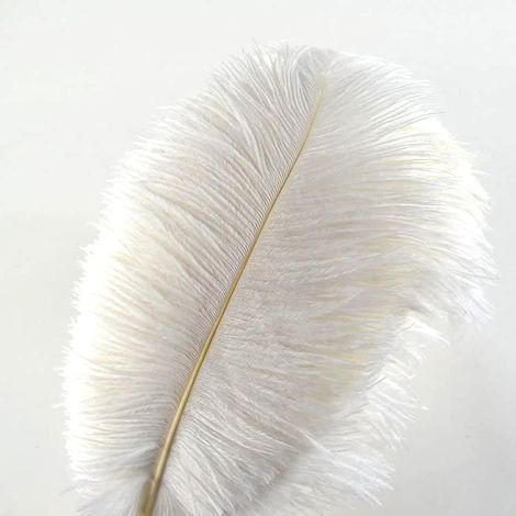 Lot of 10 Ostrich Feathers (White) Creny from 30 to 35 cm for interior decoration or Wedding (1/5)