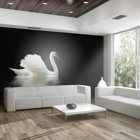 Fotomurale - cigno (bianco e nero) - 250x193 (1/4)