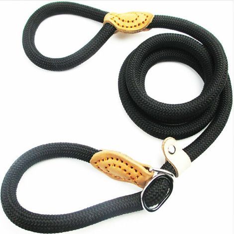1.5 m Laisse de Chien en Nylon, Noir Corde Laisse Chien, Laisse Chien Corde, Laisse Dressage Chien, Laisse Coulissante, Laisse Lasso pour Chien, Collier Laisse Chien pour Petits et Moyens Chiens (1/5)