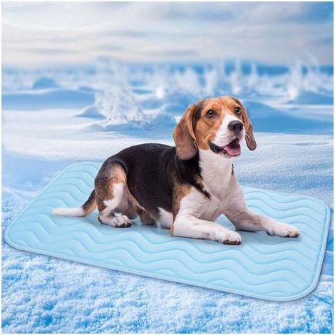Kühlmatte für Hunde und Katzen, 75 x 50 cm, atmungsaktives Eisseidenmaterial, waschbares Kühlkissen, strapazierfähig, ideal für Haustiere im Sommer, blau (1/5)