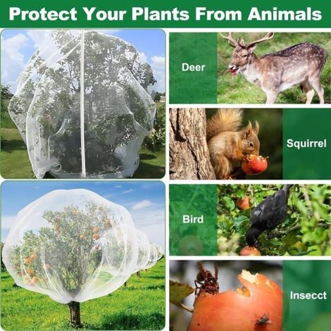 Filet de protection contre insectes et oiseaux avec fermeture éclair et cordon de serrage, pour légumes, fruits, fleurs et arbustes, (1/3)