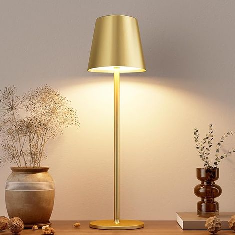 Lampe de table rechargeable tactile, intensité variable, 3 couleurs, décoration (1/5)
