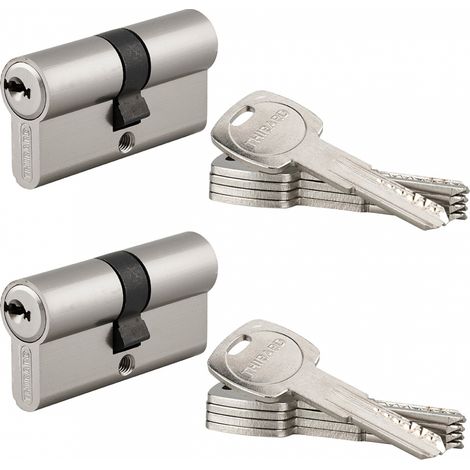 Set di 2 cilindri Trafic 6 30 x 30 mm a chiave uguale, nichelati, 10 chiavi – THIRARD (1/5)