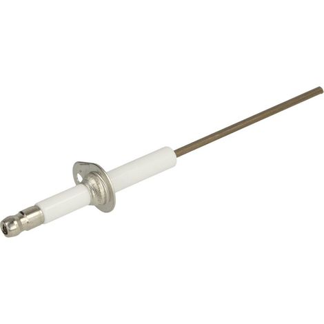 Electrode d’ionisation