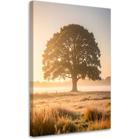 Impression sur Toile, Arbre dans la brume dans un paysage de prairie nature,30x45 (1/4)