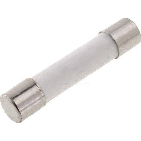 Fusibile lento 10amp/500vac 6,3x32mm Ceramica Zgth-10a