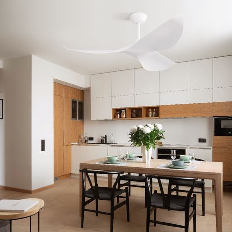 Ventilateur de plafond moteur DC 96.5 cm avec 3 pales en ABS, 6 vitesses, télécommande, pour salon et chambre à coucher - Blanc (1/5)