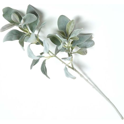 HOMESCAPES Lambs Ear Foliage 70 cm (1/5)