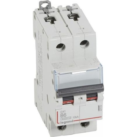Legrand 407492 Disyuntor dx≥ 6000 tornillo/tornillo 2p 230/400v 6A 10ka - curva B - salida protectora
