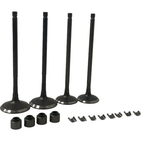 Kit de tringlerie pour soupape d'échappement et collecteur d'admission des motos BAJAJ 200NS NS200 AS200 RS200 Rouser 200