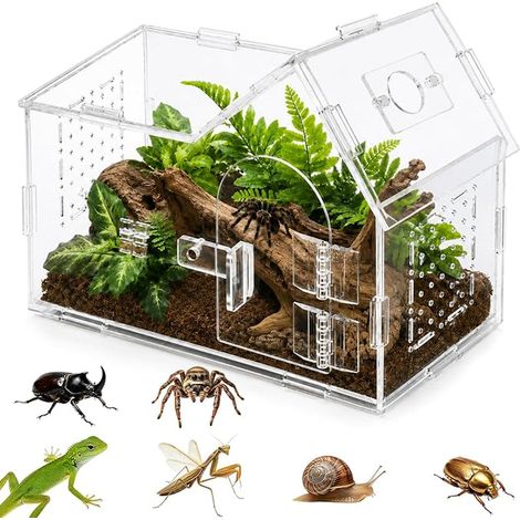 Terrarium en Acrylique Terrarium pour Reptiles Transparent avec Pince (1/4)