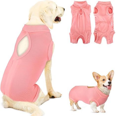 Dog Surgery Recovery Suit Puppy Romper for Cats After Surgery Alternative to E Cone Collar for Male Female Dogs (1/5)