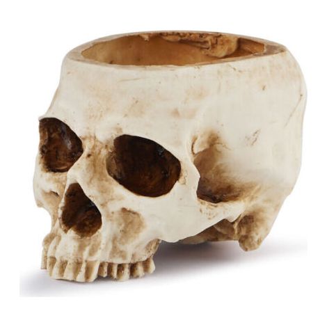 Pot de Fleurs Tête de Mort en Résine Vase Tête de Mort Modèle de Tête en Résine pour Halloween Fête, Décorations d'Intérieur (1/4)