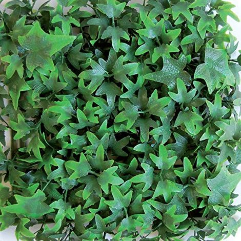 TENAX Siepe Sintetica a Pannelli per Parete Giardino Verticale, Tipo Edera, Divy 3D Panel Helix 0,50 x 1 m, componibile per Decorazione e schermatura (1/4)