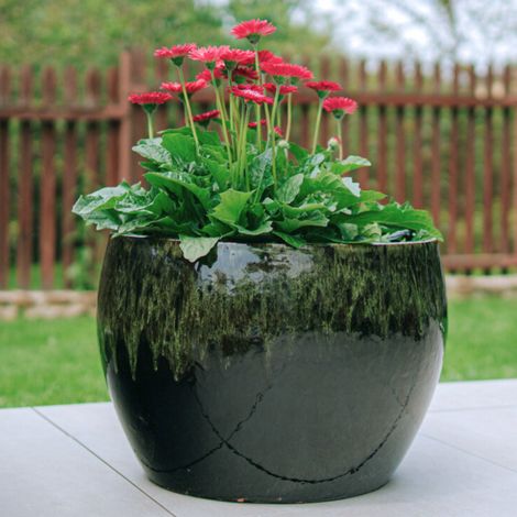 Pot grande taille d'extérieur ROMULUS 42x30cm noir et vert, fait main en terre cuite émaillée, résistant au gel (1/2)