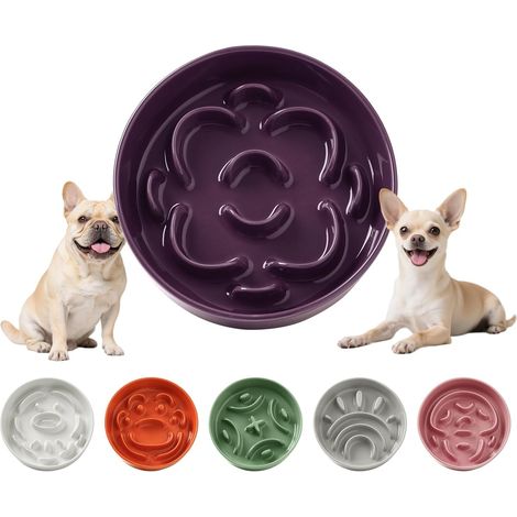 1 Gamelle Anti Glouton,Céramique,Antidérapante,Labyrinthe,Petit Chien,Violet