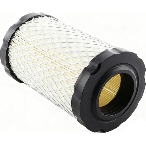 796031 591334 590825 Filtre à air pour BS 594201 31A507 31A607 4243 pour MIU1303 GY21435 MIU13963 MIU14395 LA135 D100 D110 pour YTH22V46 YTA24V48 YTA22V46 tondeuses (1/5)