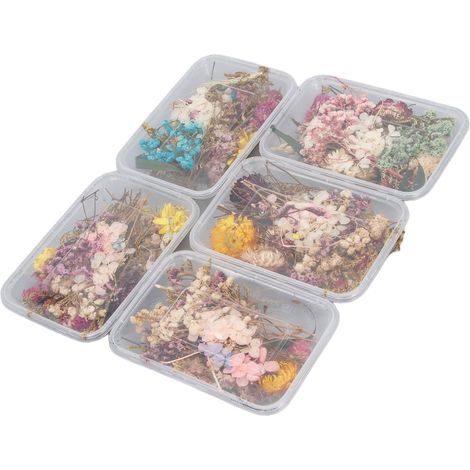 Kit de bricolage pour fleur éternelle (1/5)