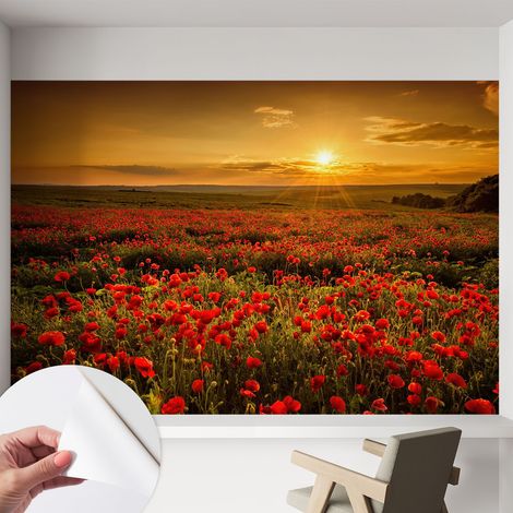 Carta da parati adesiva - fotomurale - facile da applicare - per la soggiorno - camera da letto - Campo di papaveri 152x104 cm (1/5)