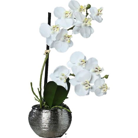 Orchidée phalaenopsis artificielle en pot céramique, H 30 cm Crème - couleur: Crème