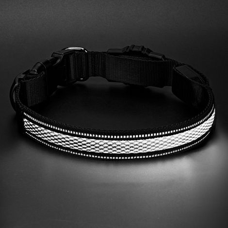 Collier pour chien avec étiquette aérienne transfrontalière, rechargeable USB-C, étanche, lumineux, avec protection anti-perte