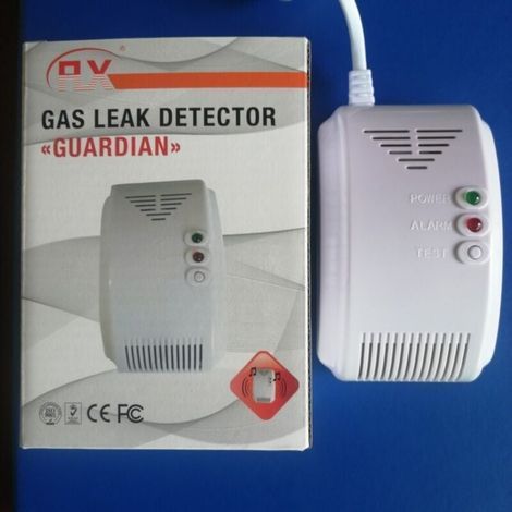 Détecteur de gaz 220 V pour camping-car, camping-car, propane, butane, GPL, gaz naturel (1/4)