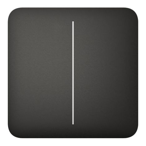AJAX - 52147 - SoloButton (2-fach) [55] ASP , Lichtschaltertaster