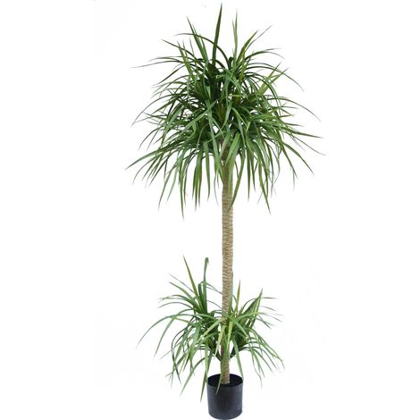 180cm Dracaena Realistic Artificial Tree (1/2)
