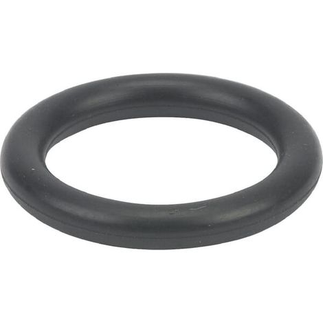 Joint torique BRIGGS ET STRATTON 699725