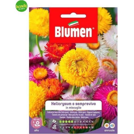 Blumen. Semi di Helicrysum o Semprevivo in miscuglio (1/2)
