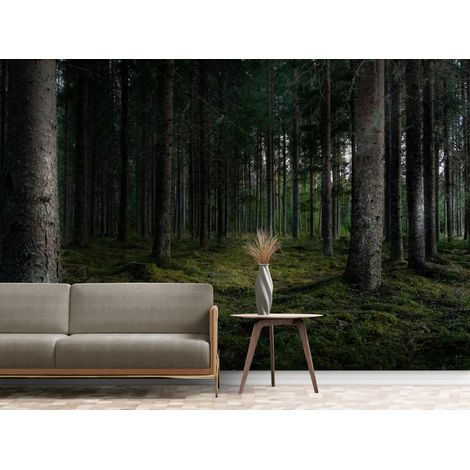 Papier Peint Forêt - Mystère des Bois Sombres - 150 x 250 cm (1/2)