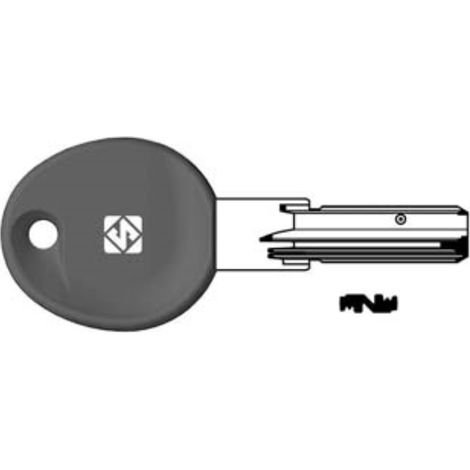 Chiavi punzonate per cilindri iseo 5+6+6 spine ie38rp - ie38rp 5 pezzi Silca