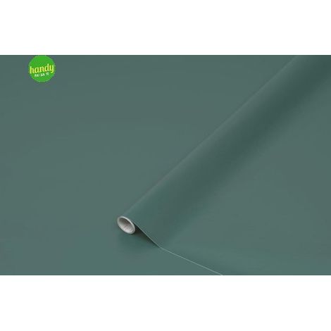 Pellicola D-C-Fix 45x200cm Mallard Opaco
