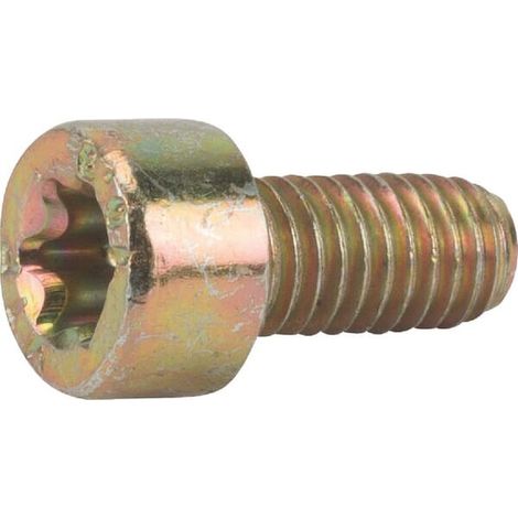Tornillo TX M5x10 ALPINA ALP2135020