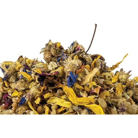 Back Zoo Nature - Mix di fiori per pappagalli 35g (1/3)