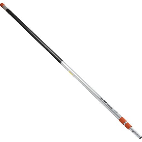 Pértiga telescópica AP-3M
