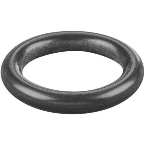 Rems O-Ring 060005