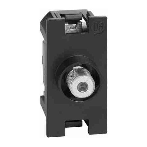 Conector coaxial de TV tipo F BTIK4202F