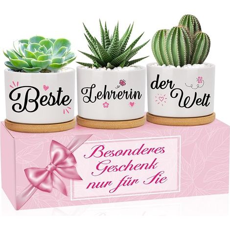 Teacher Gift, Flower Pots for Christmas, Thank You, Leaving Birthday, Christmas, Retirement (1/5)